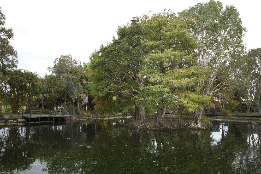 ホテルMaroochydore Cabins エクステリア 写真
